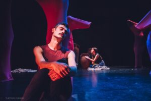 Πετριχώρα - Ένα πουλί