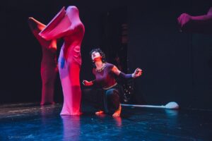 Πετριχώρα - Ένα πουλί